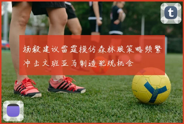 杨毅建议雷霆模仿森林狼策略频繁冲击文班亚马制造犯规机会
