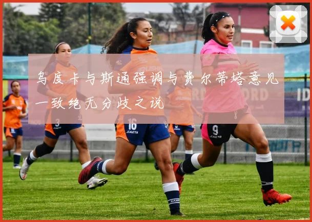 乌度卡与斯通强调与费尔蒂塔意见一致绝无分歧之说